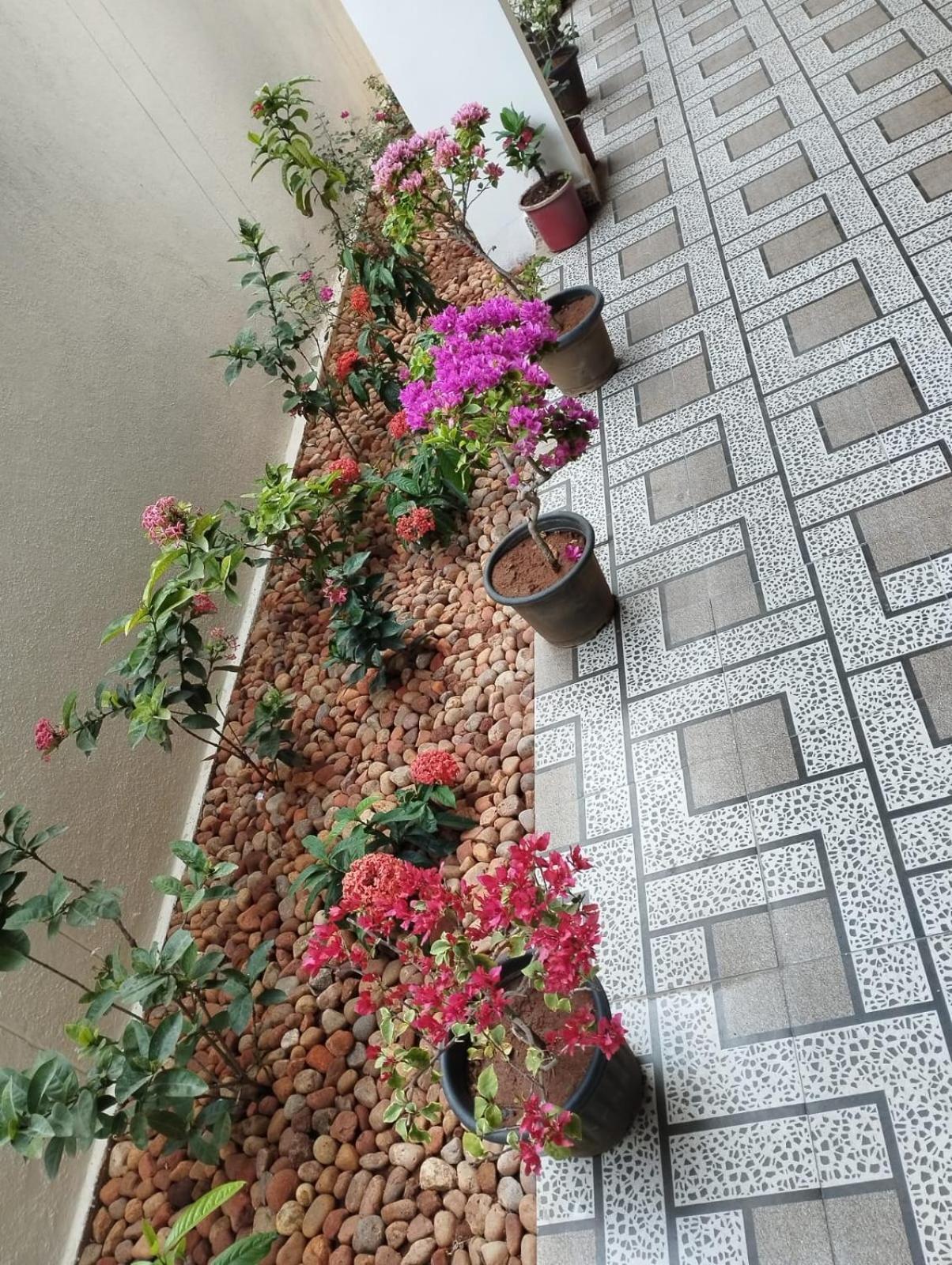 Annai Residency Ξενοδοχείο Vellore Εξωτερικό φωτογραφία